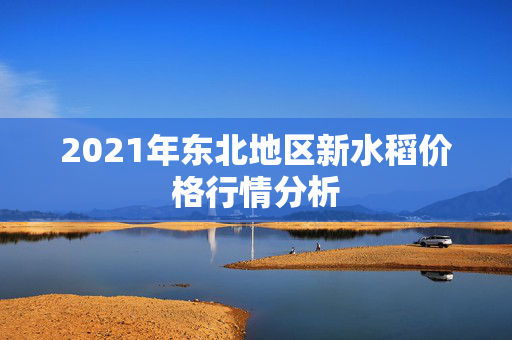 2021年东北地区新水稻价格行情分析