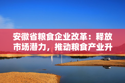 安徽省粮食企业改革：释放市场潜力，推动粮食产业升级