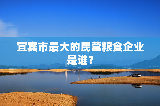 宜宾市最大的民营粮食企业是谁？