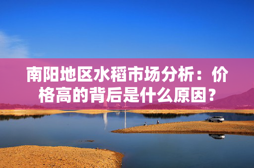 南阳地区水稻市场分析：价格高的背后是什么原因？