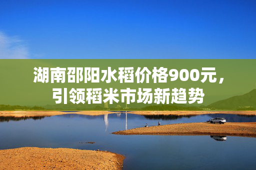 湖南邵阳水稻价格900元，引领稻米市场新趋势