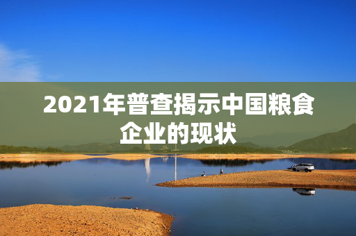 2021年普查揭示中国粮食企业的现状