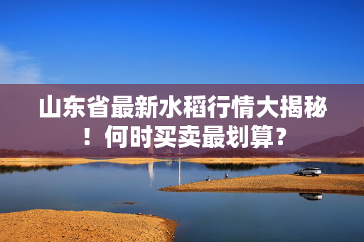 山东省最新水稻行情大揭秘！何时买卖最划算？