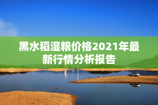 黑水稻湿粮价格2021年最新行情分析报告