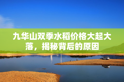 九华山双季水稻价格大起大落，揭秘背后的原因