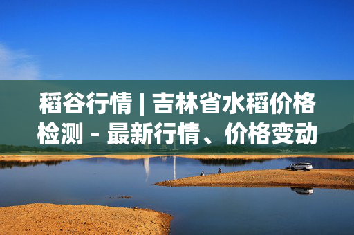 稻谷行情 | 吉林省水稻价格检测 - 最新行情、价格变动及影响因素