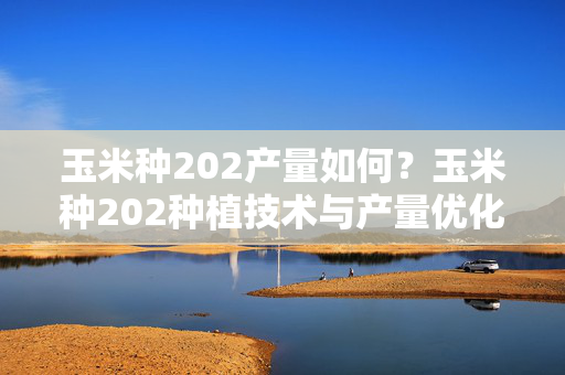 玉米种202产量如何？玉米种202种植技术与产量优化