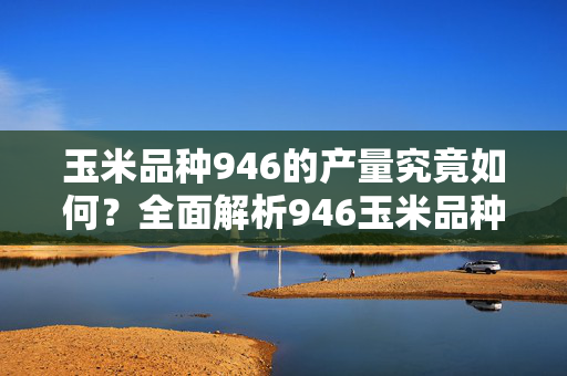 玉米品种946的产量究竟如何？全面解析946玉米品种的产量与优势