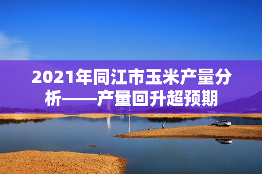 2021年同江市玉米产量分析——产量回升超预期