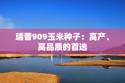 瑞普909玉米种子：高产、高品质的首选