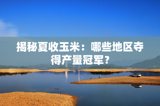 揭秘夏收玉米：哪些地区夺得产量冠军？