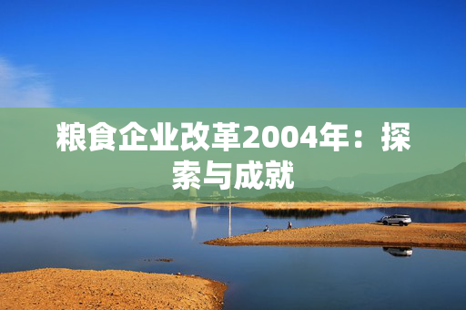 粮食企业改革2004年：探索与成就