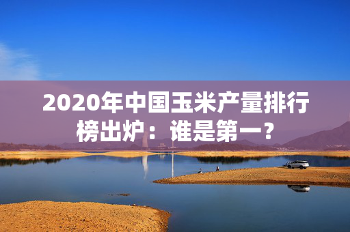 2020年中国玉米产量排行榜出炉：谁是第一？