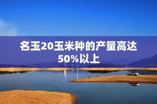 名玉20玉米种的产量高达50%以上