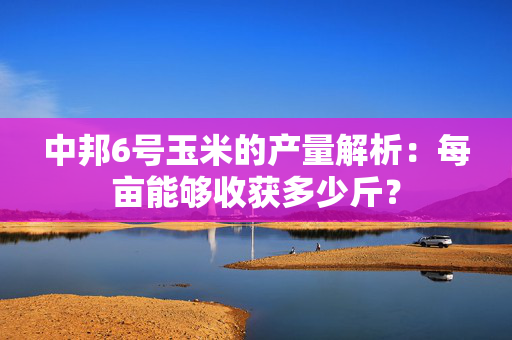 中邦6号玉米的产量解析：每亩能够收获多少斤？