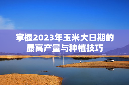 掌握2023年玉米大日期的最高产量与种植技巧