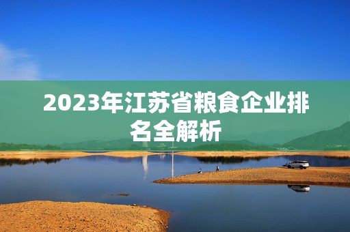 2023年江苏省粮食企业排名全解析