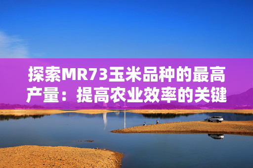 探索MR73玉米品种的最高产量：提高农业效率的关键