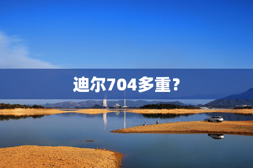 迪尔704多重？