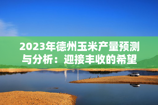 2023年德州玉米产量预测与分析：迎接丰收的希望