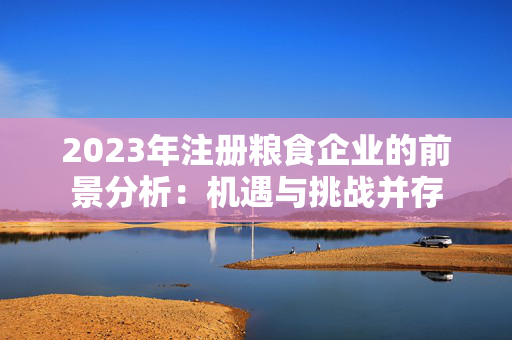 2023年注册粮食企业的前景分析：机遇与挑战并存