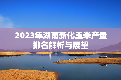 2023年湖南新化玉米产量排名解析与展望