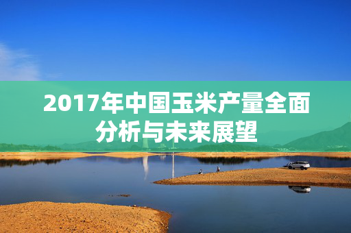 2017年中国玉米产量全面分析与未来展望