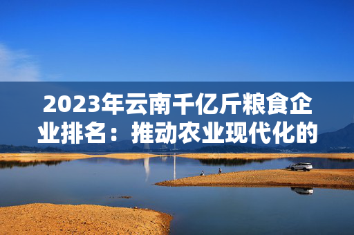 2023年云南千亿斤粮食企业排名：推动农业现代化的先锋