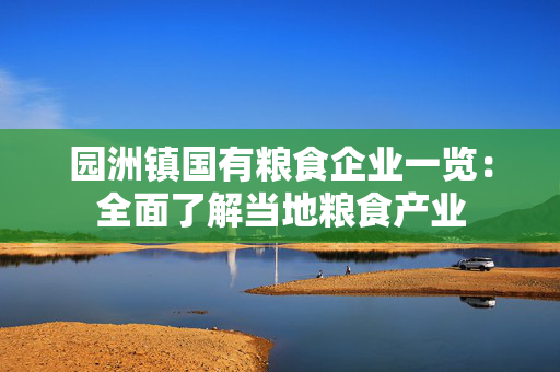 园洲镇国有粮食企业一览：全面了解当地粮食产业