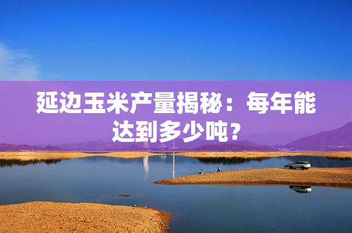 延边玉米产量揭秘：每年能达到多少吨？