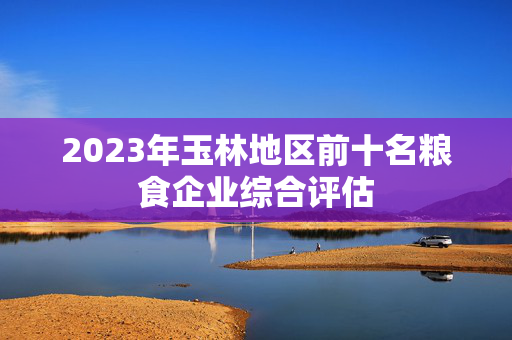 2023年玉林地区前十名粮食企业综合评估