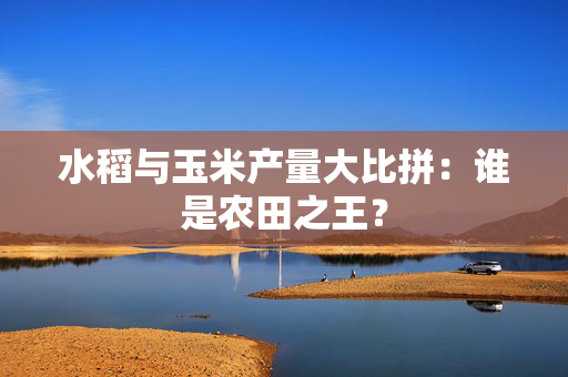 水稻与玉米产量大比拼：谁是农田之王？