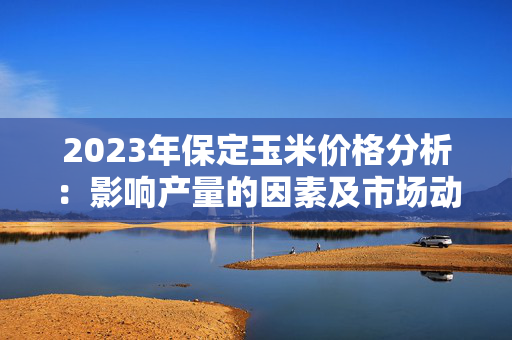 2023年保定玉米价格分析：影响产量的因素及市场动态