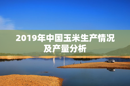 2019年中国玉米生产情况及产量分析