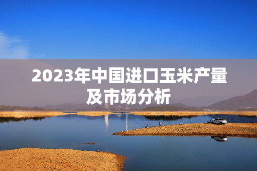 2023年中国进口玉米产量及市场分析