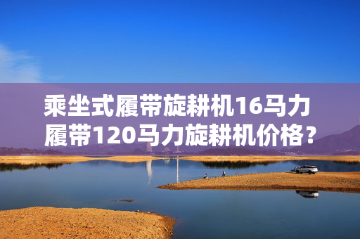 乘坐式履带旋耕机16马力 履带120马力旋耕机价格？