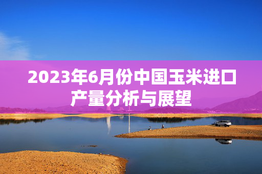 2023年6月份中国玉米进口产量分析与展望