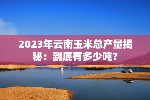 2023年云南玉米总产量揭秘：到底有多少吨？