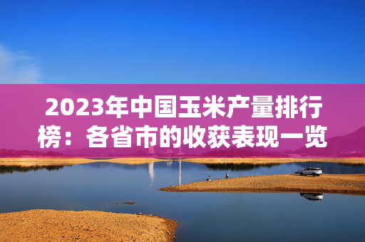 2023年中国玉米产量排行榜：各省市的收获表现一览