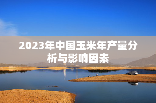 2023年中国玉米年产量分析与影响因素