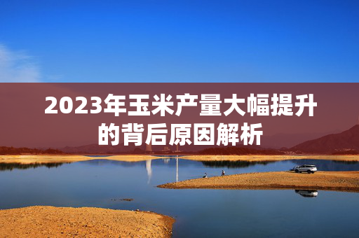 2023年玉米产量大幅提升的背后原因解析