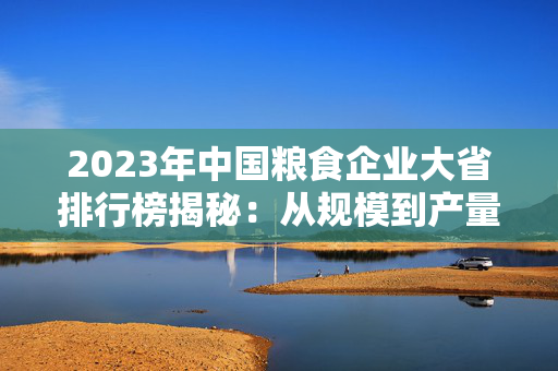 2023年中国粮食企业大省排行榜揭秘：从规模到产量全方位分析