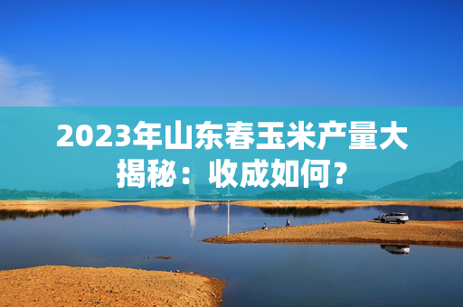 2023年山东春玉米产量大揭秘：收成如何？