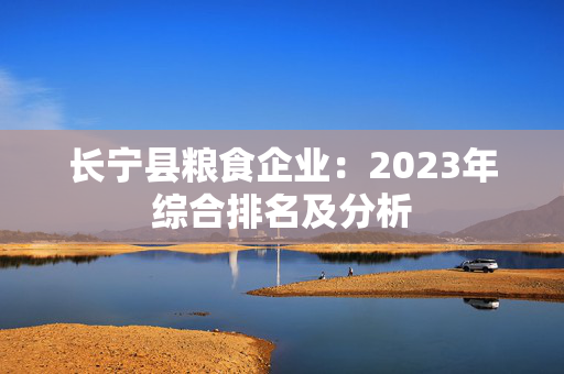 长宁县粮食企业：2023年综合排名及分析