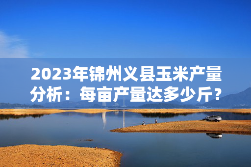 2023年锦州义县玉米产量分析：每亩产量达多少斤？