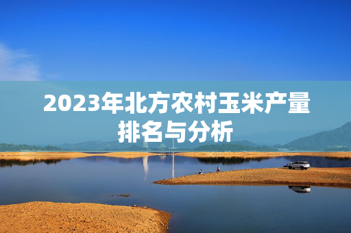 2023年北方农村玉米产量排名与分析