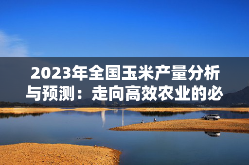 2023年全国玉米产量分析与预测：走向高效农业的必经之路