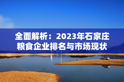 全面解析：2023年石家庄粮食企业排名与市场现状