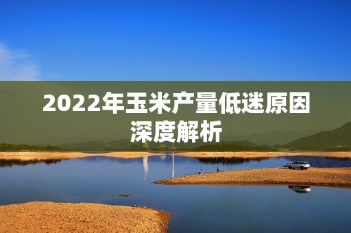 2022年玉米产量低迷原因深度解析