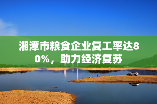 湘潭市粮食企业复工率达80%，助力经济复苏